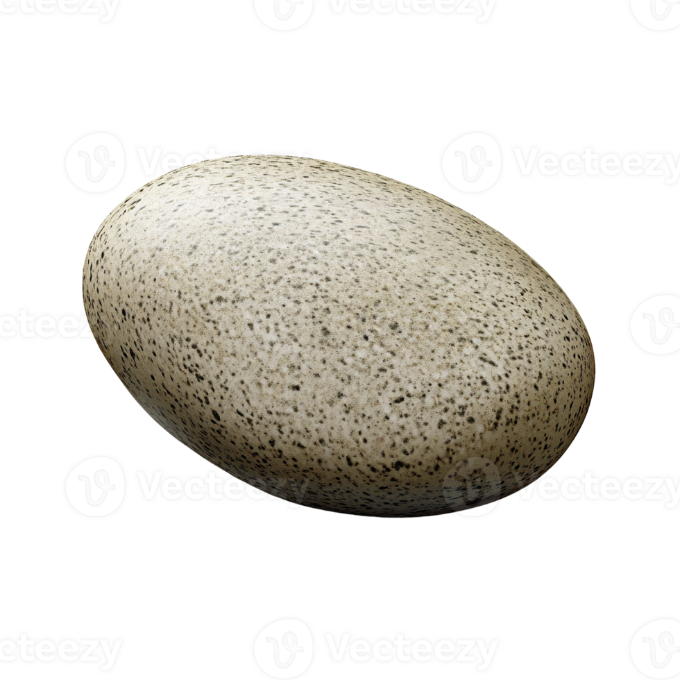 Speckled bird egg on a transparent background, closeup of natural texture and pattern Concept of wildlife, nature, and ornithology png