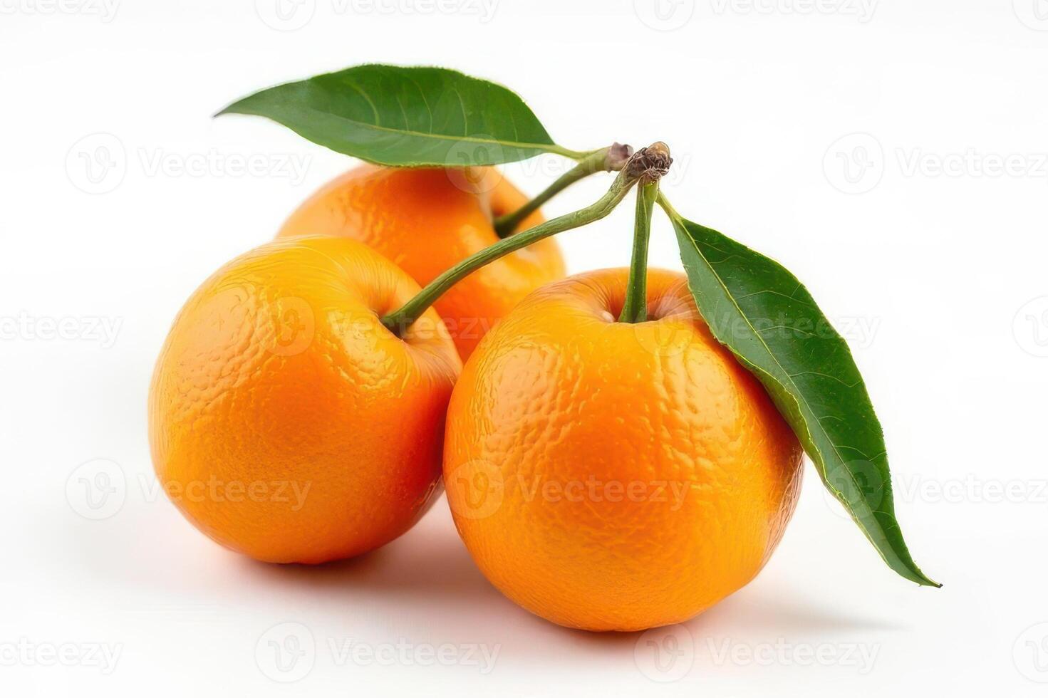 Freshly harvested oranges with green leaves on a white background isolated studio shot photo