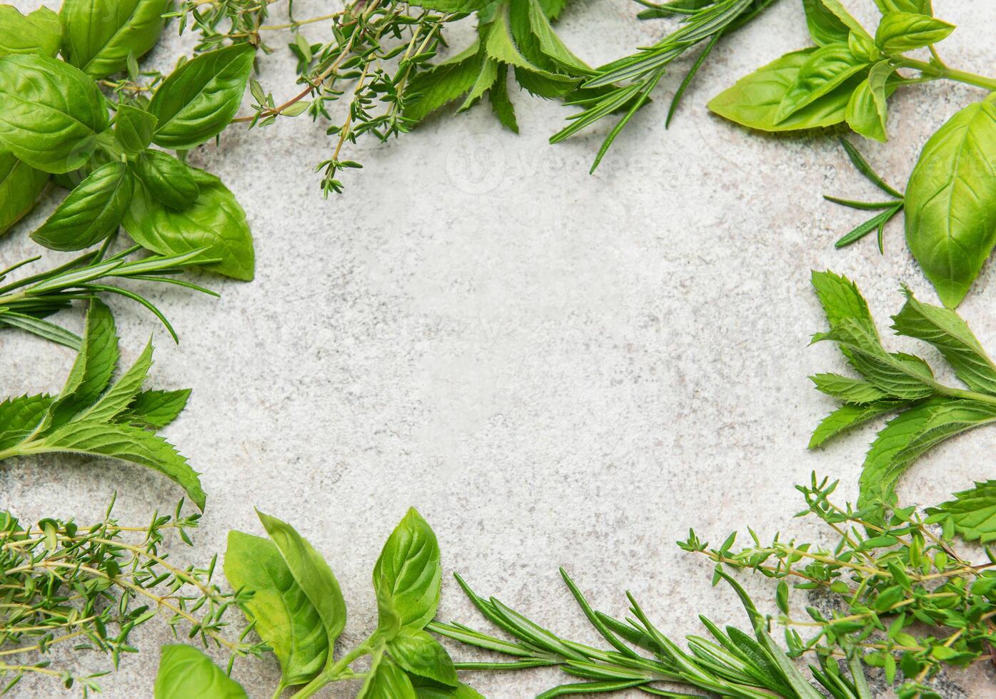 Fresh herbs frame creating empty space on gray photo