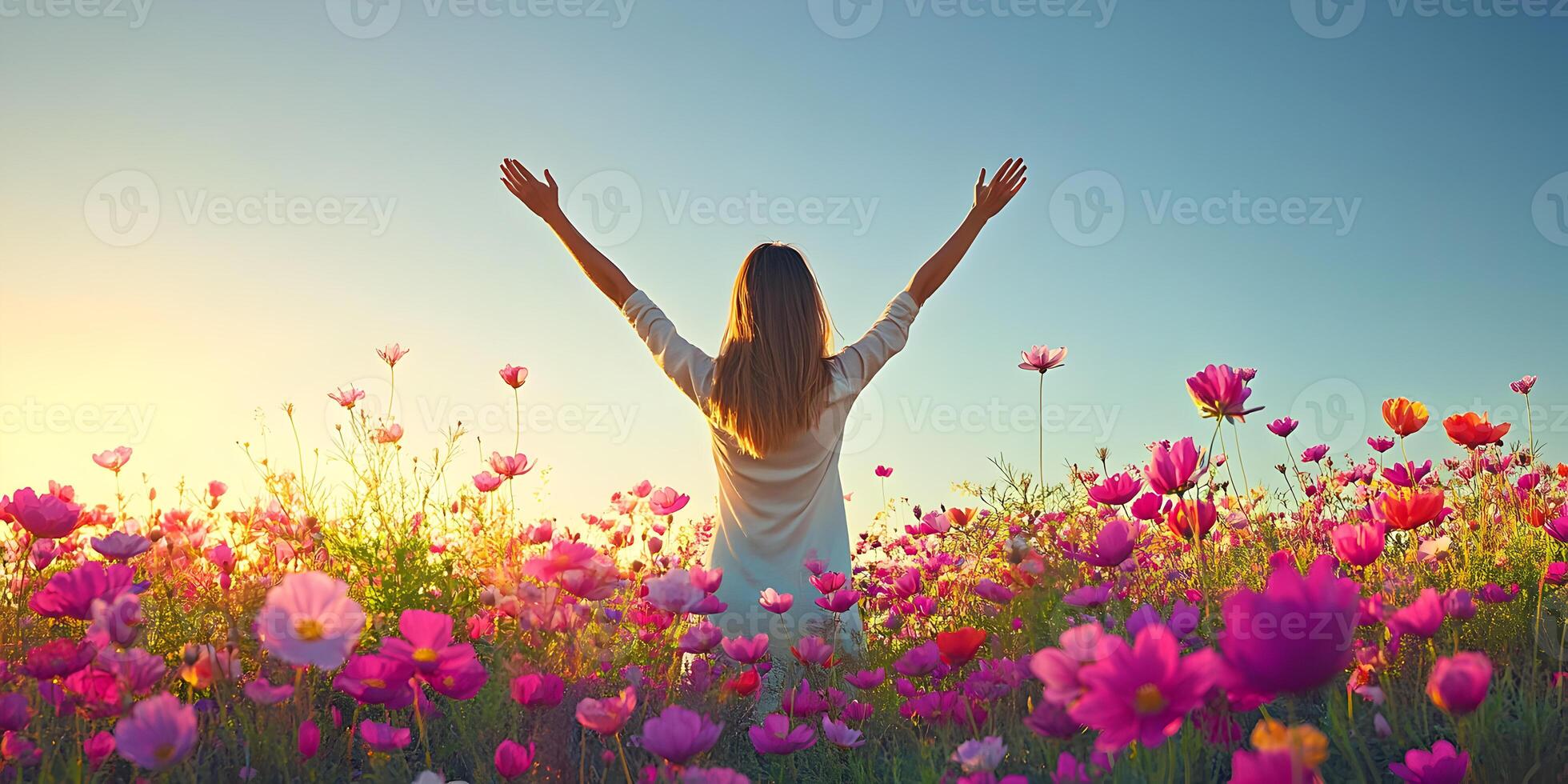 Woman in Cosmos Flower Field at Sunset photo
