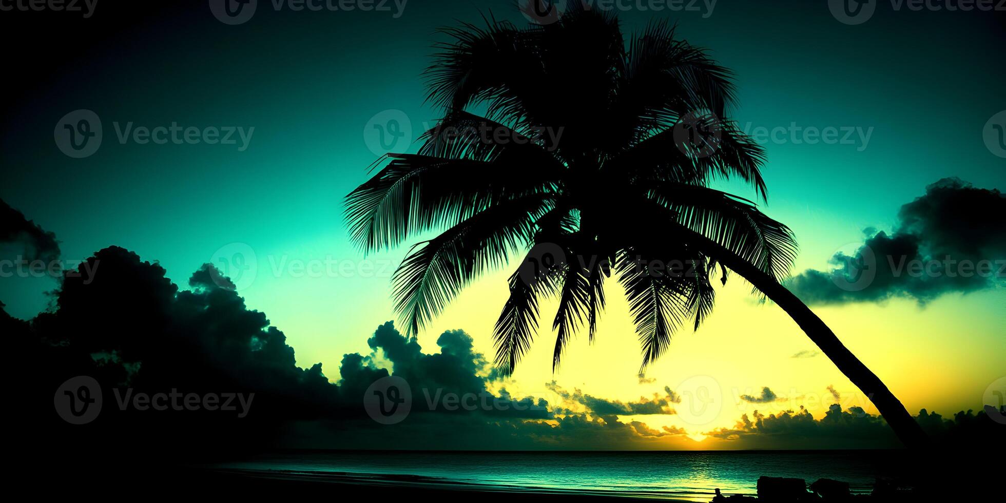 Silhouette Palm Tree Tropical Sunset Beach Ocean photo