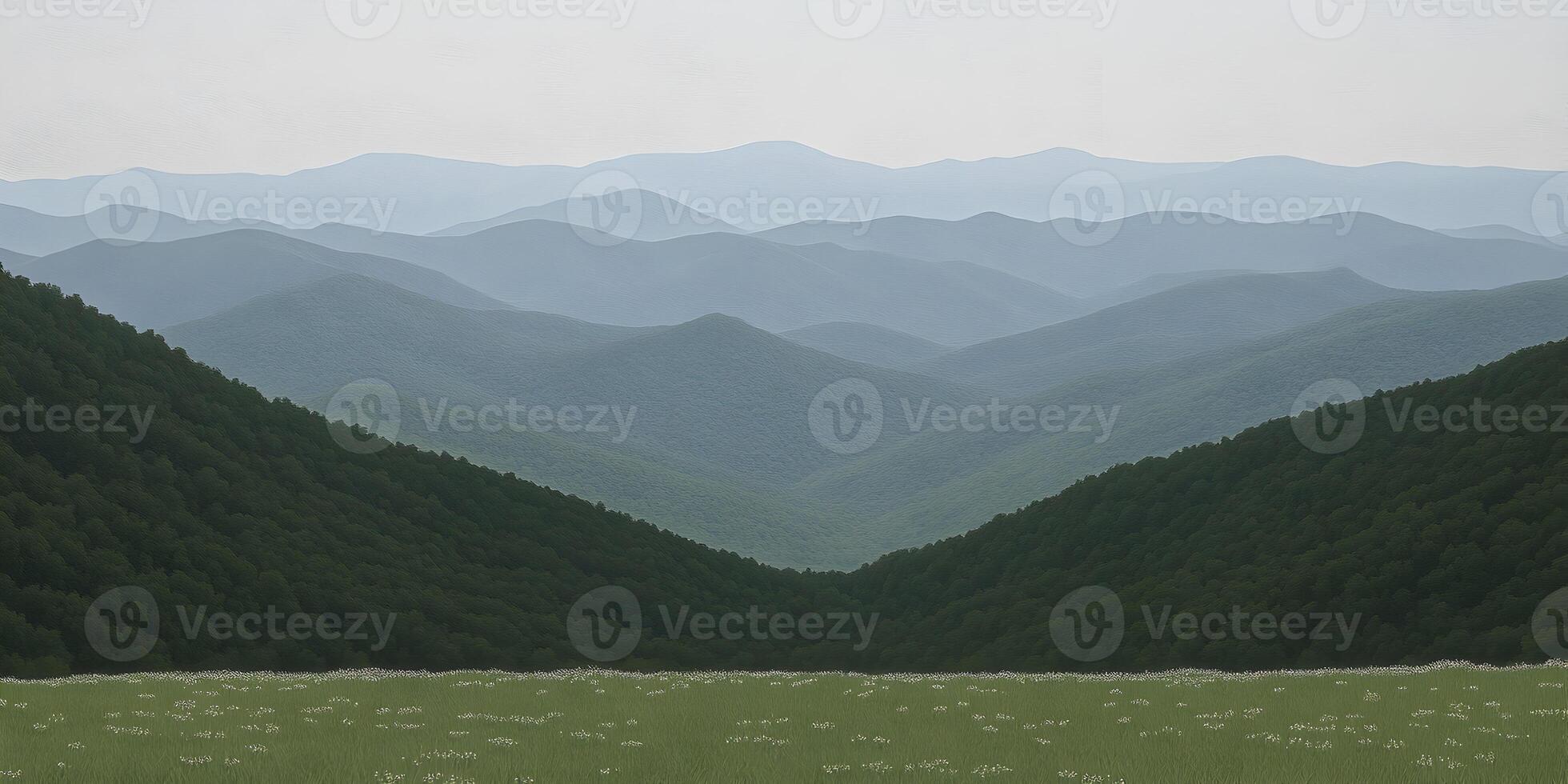 Misty Mountains and Meadow Landscape photo