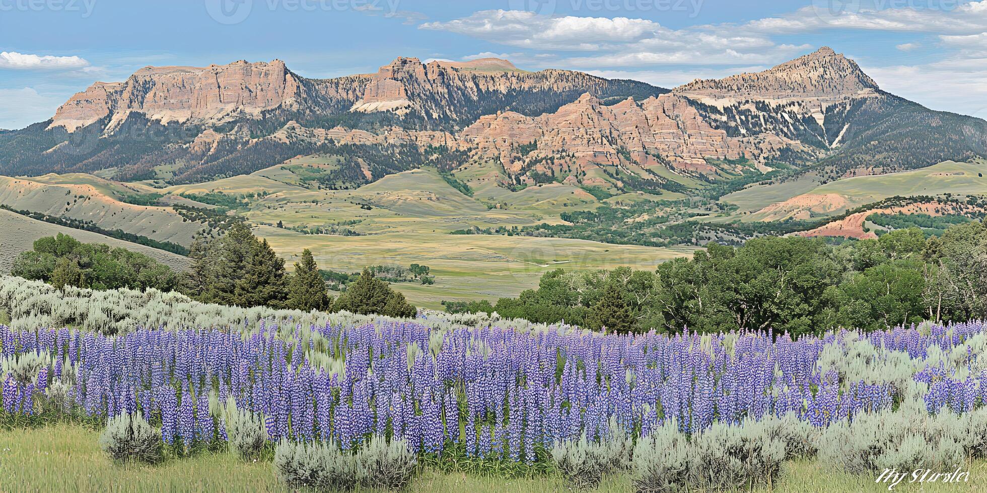 Lupine Wildflowers in front of the Dramatic Cliffs of Montana photo