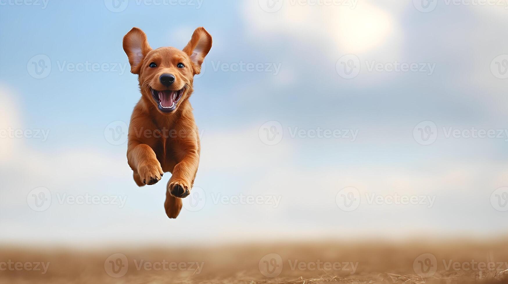 Happy Golden Retriever Puppy Running in the Air photo