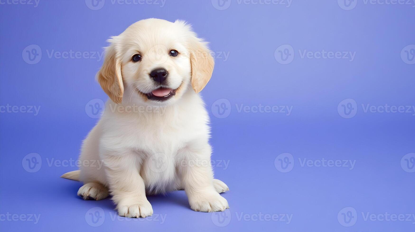 Adorable Puppy on Purple Background photo