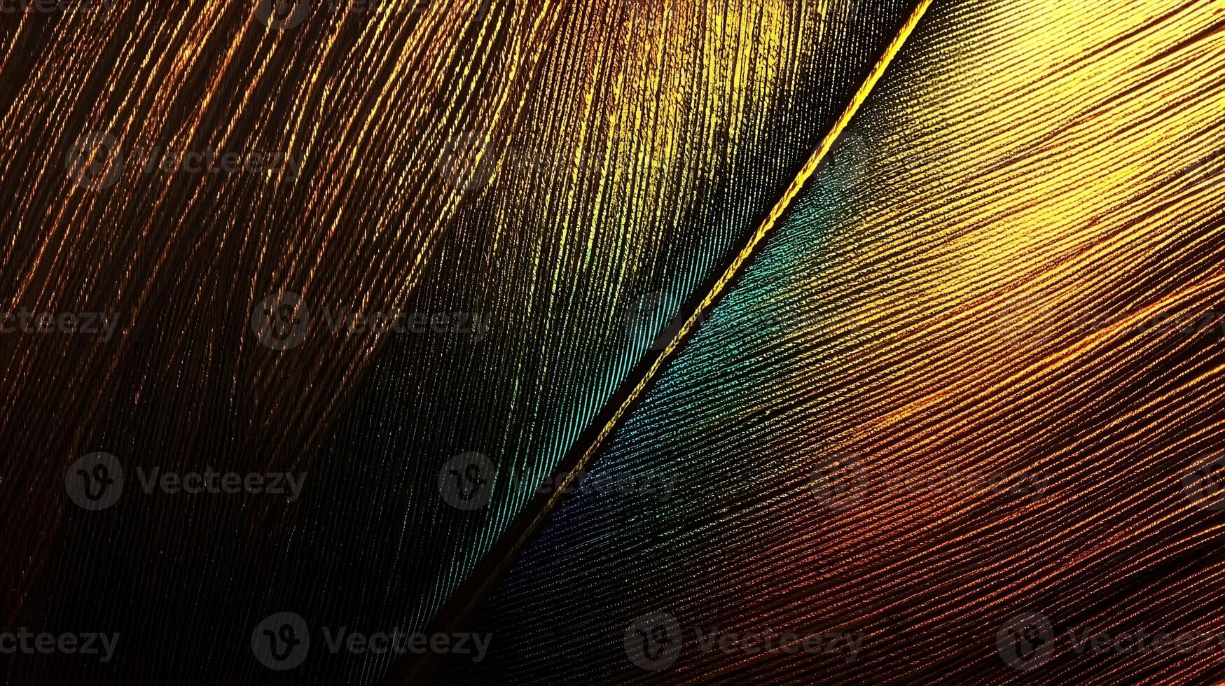 Close-up of iridescent peacock feather texture, golden and teal hues photo