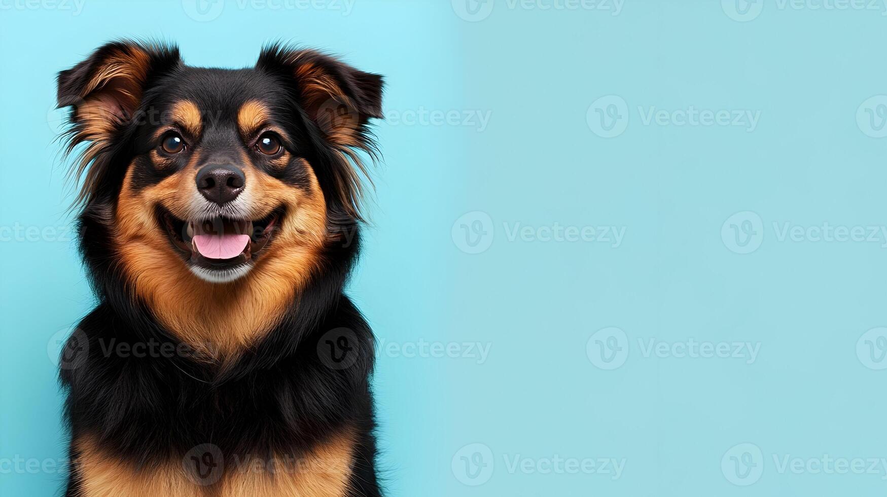 Happy Dog Portrait, Smiling Pet on Blue Background photo