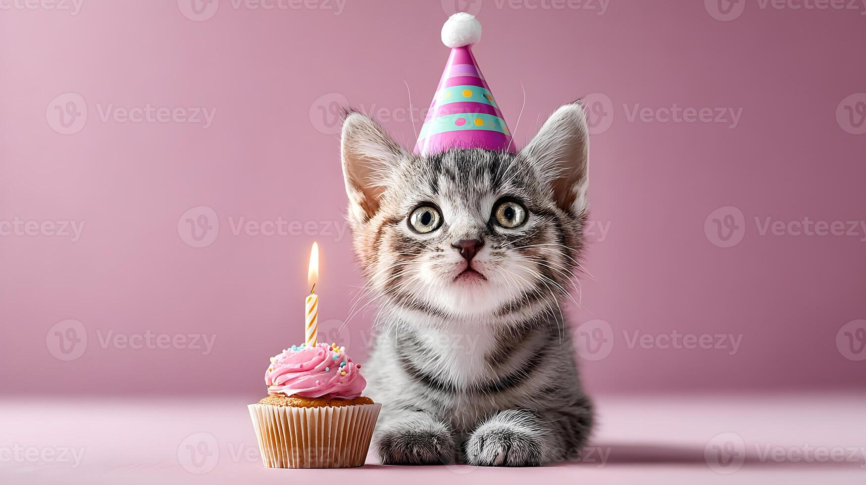 Cute Kitten Birthday Party Celebration Pink Background Grey Tabby Cat Cupcake Candle photo