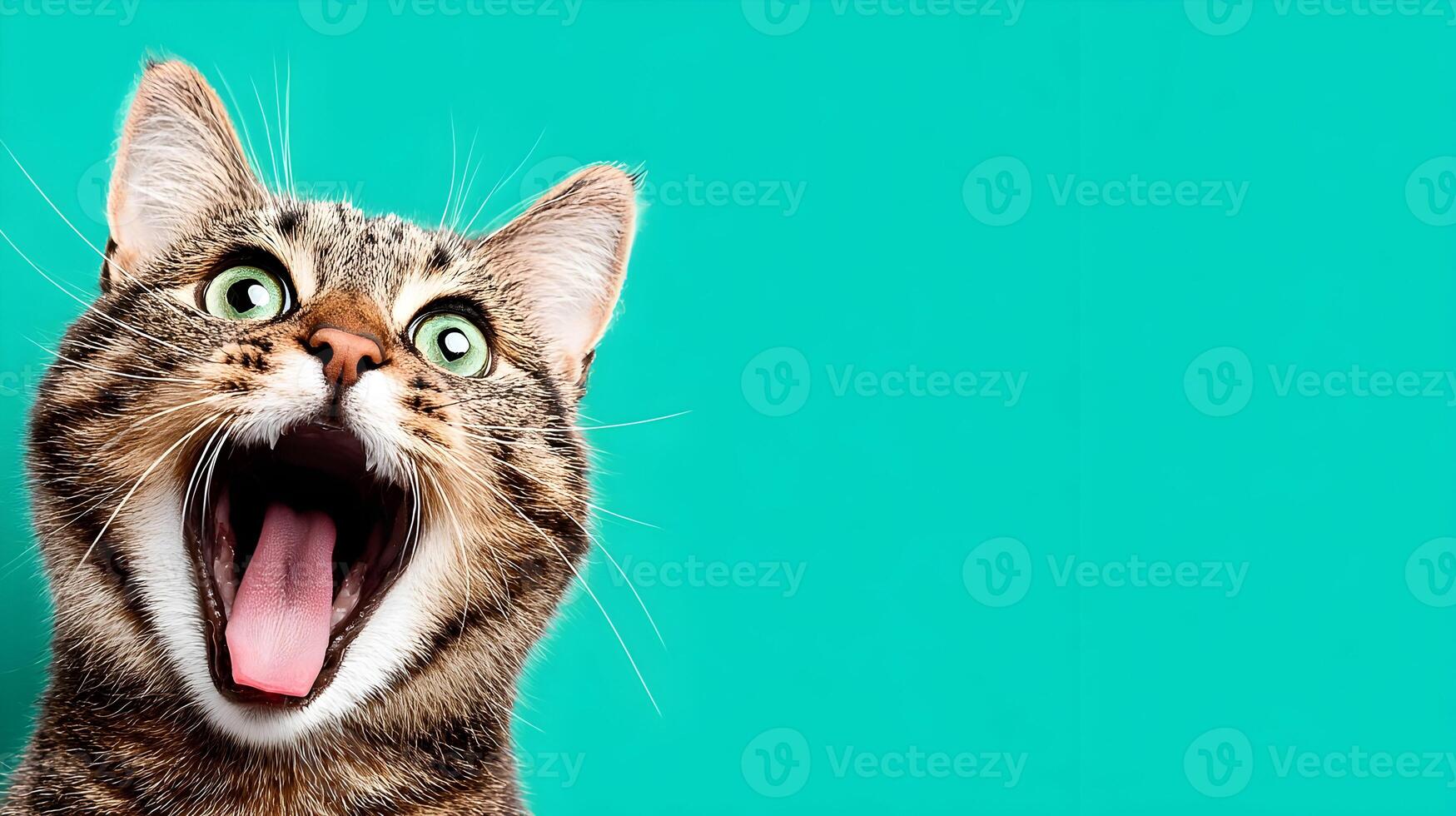 Tabby Cat with Green Eyes Wide Open Mouth on Teal Background photo