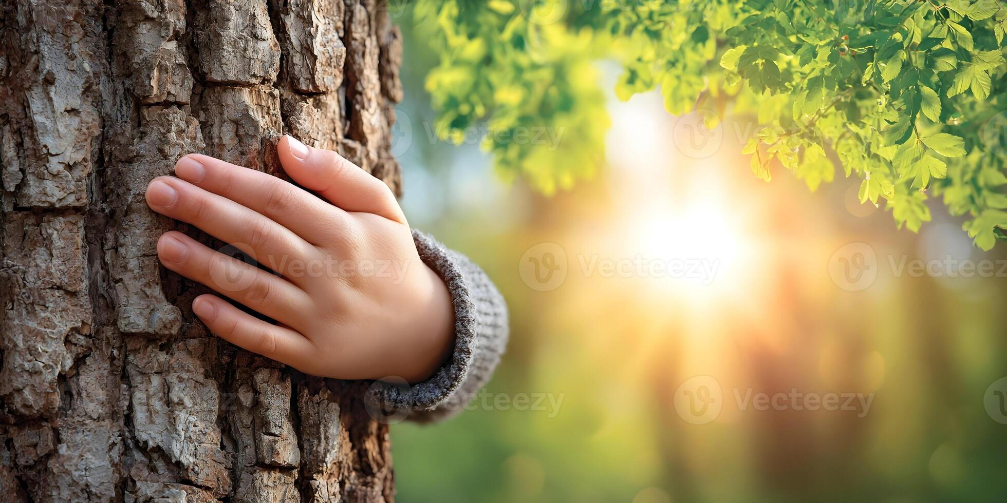 Childs Hand Touching Tree Bark Nature Scene Sunlight Green Leaves photo