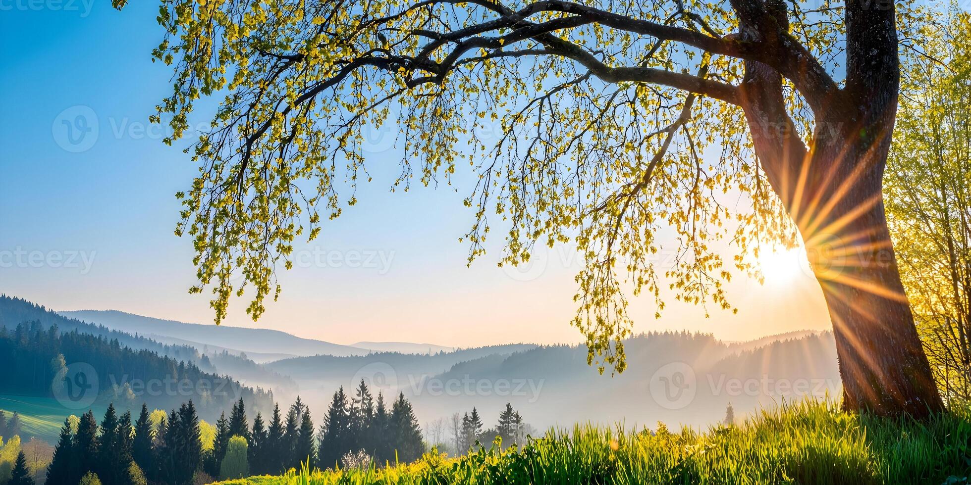 Sunrise over Misty Mountains Spring Landscape Tree Branches photo