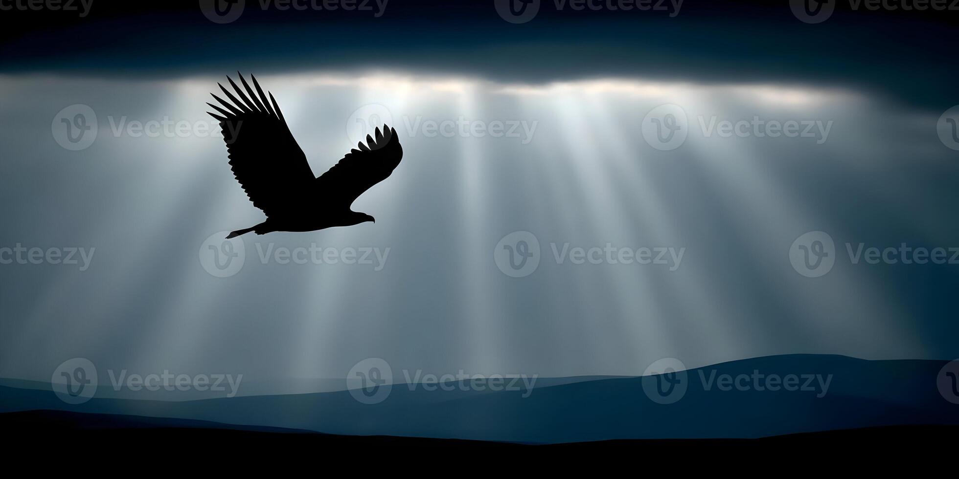 Eagle Silhouette Flying Through Dramatic Sky Landscape photo