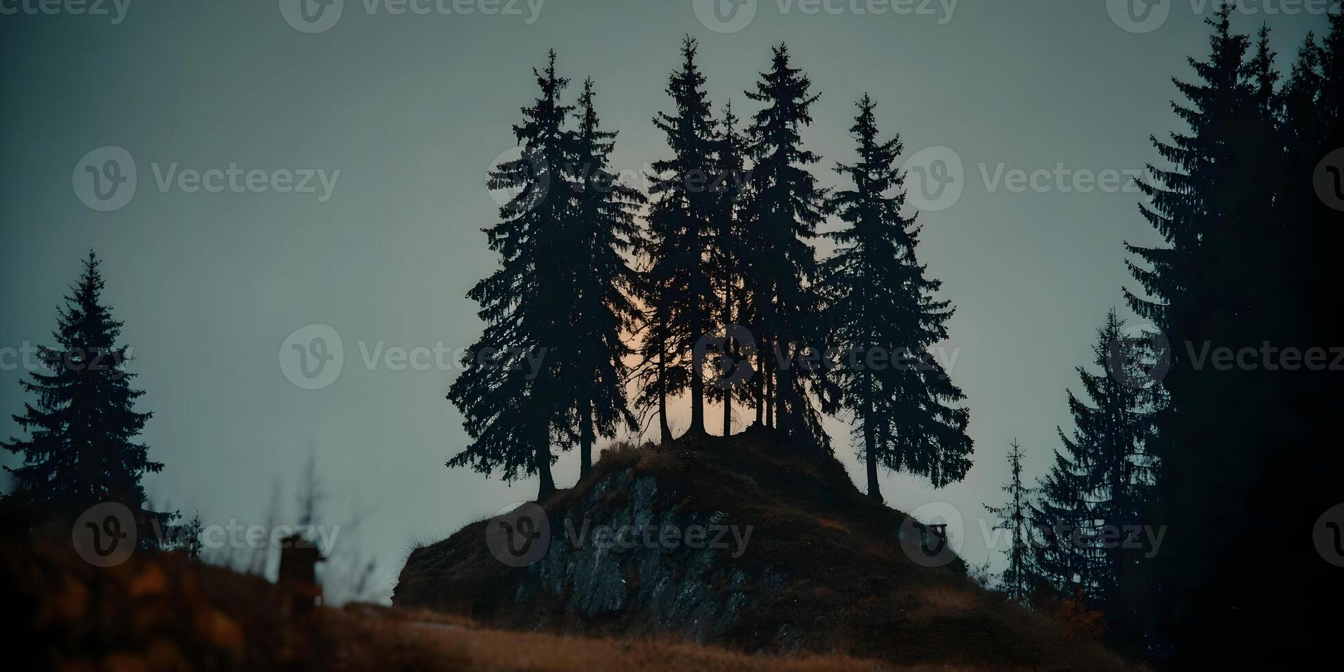 Silhouette of Four Pine Trees on Hilltop at Dusk photo