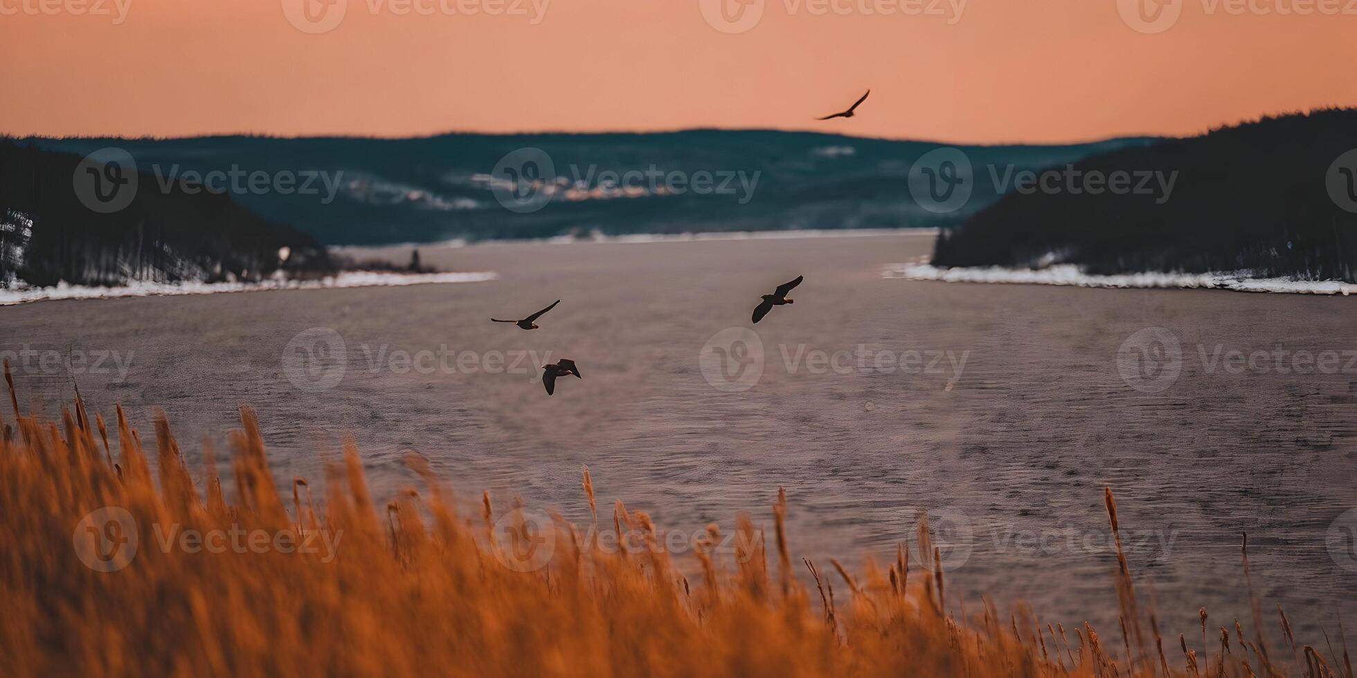 Three Birds Flying Over Calm River Sunset Landscape photo
