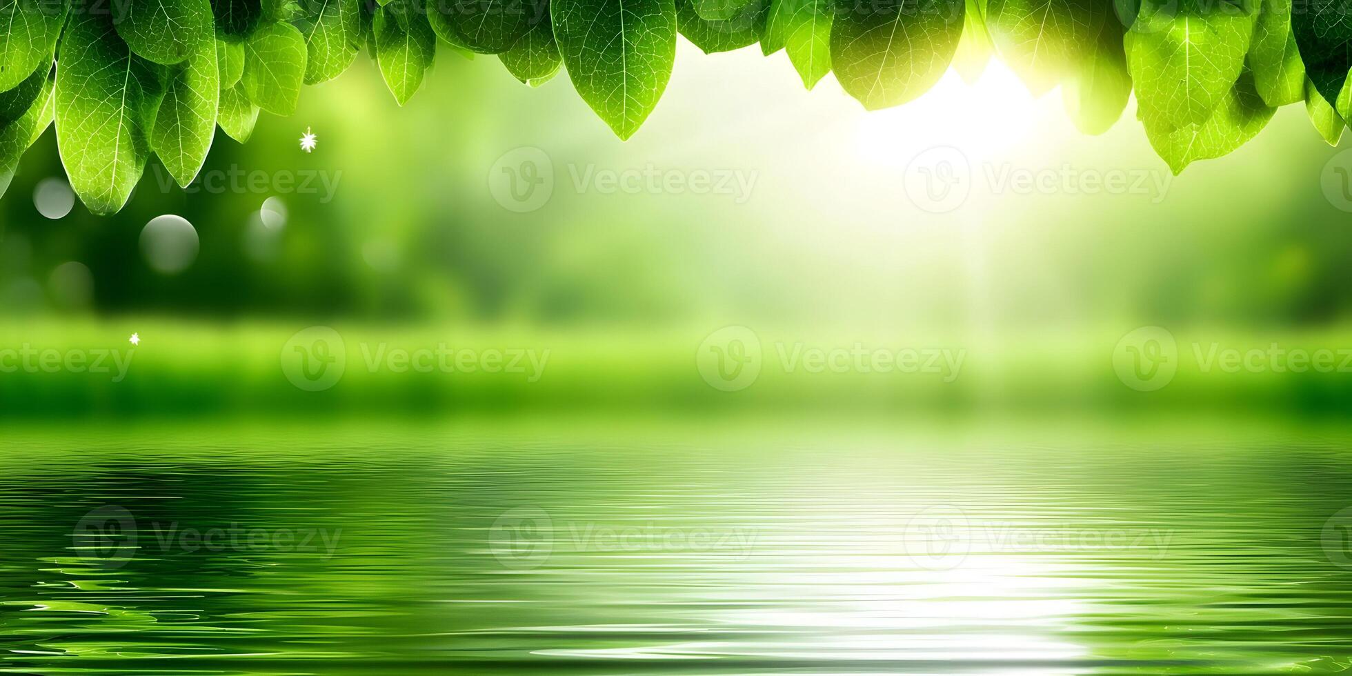 Green Leaves Over Calm Water Nature Scene Background photo