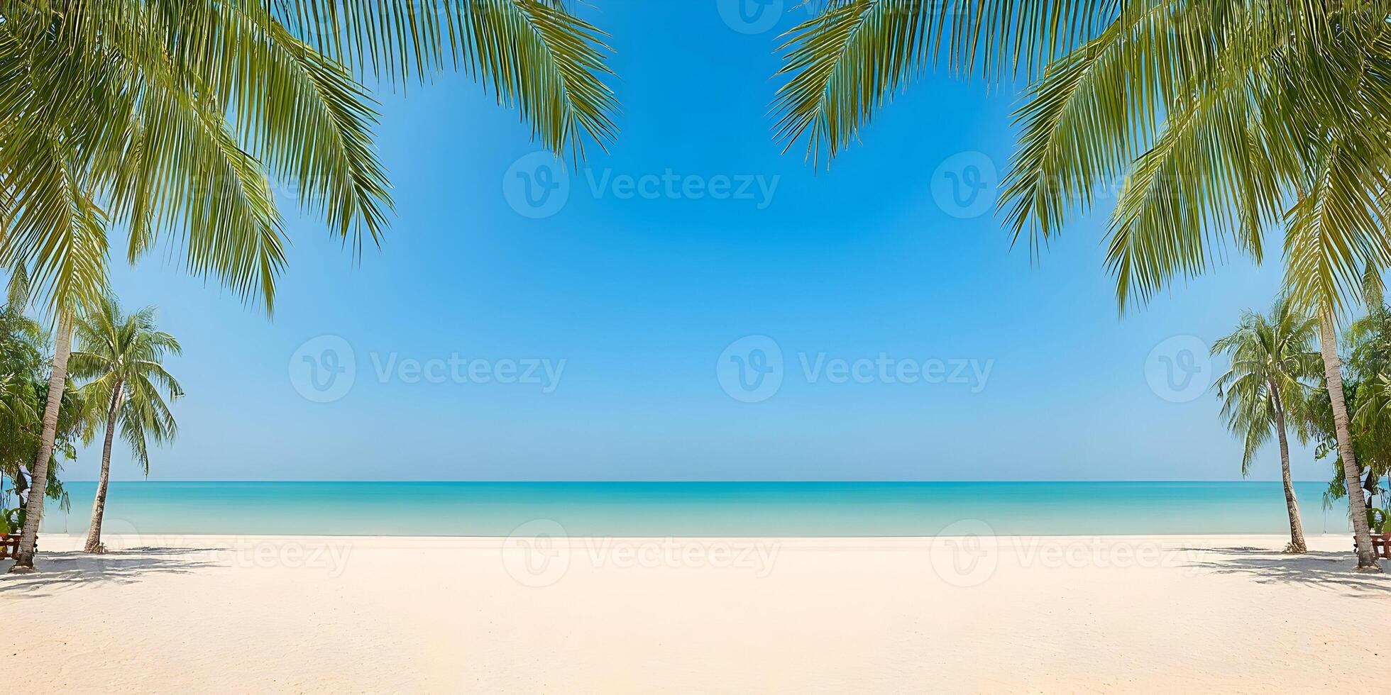 Tropical Beach Scene Palm Trees White Sand Turquoise Ocean Summer Vacation Paradise photo