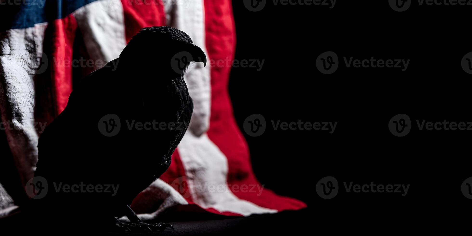 Silhouette of an Eagle near American Flag Dramatic Dark Image photo