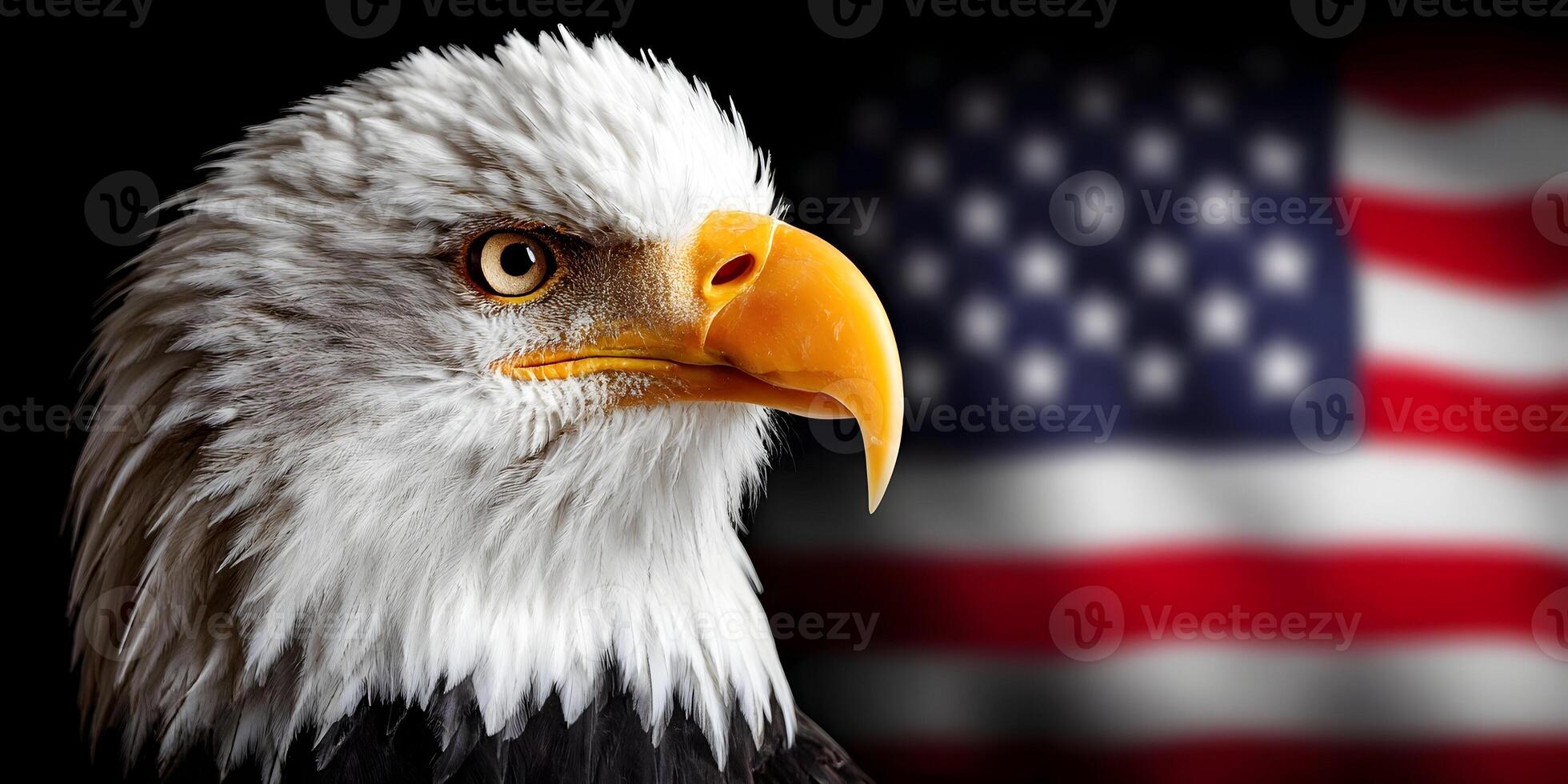 american eagle with american flag background patriotic photo