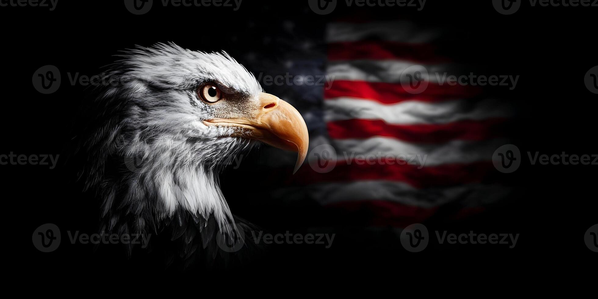 an eagle with an american flag in the dark background photo
