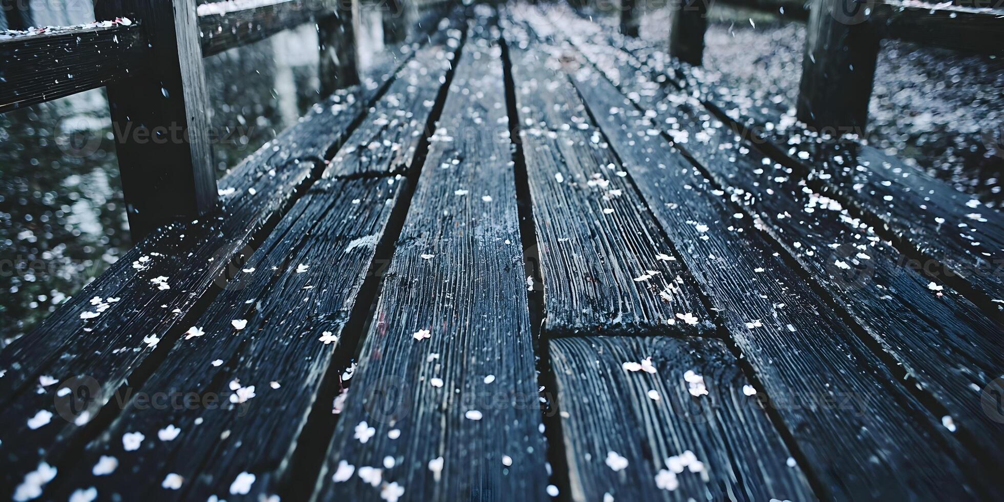Dark Wood Planks Path Covered in White Cherry Blossoms photo