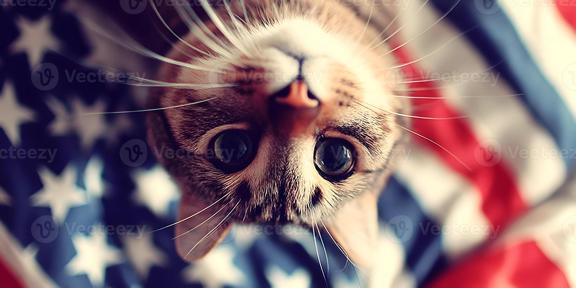 Closeup Tabby Cat Face Upside Down American Flag Background photo