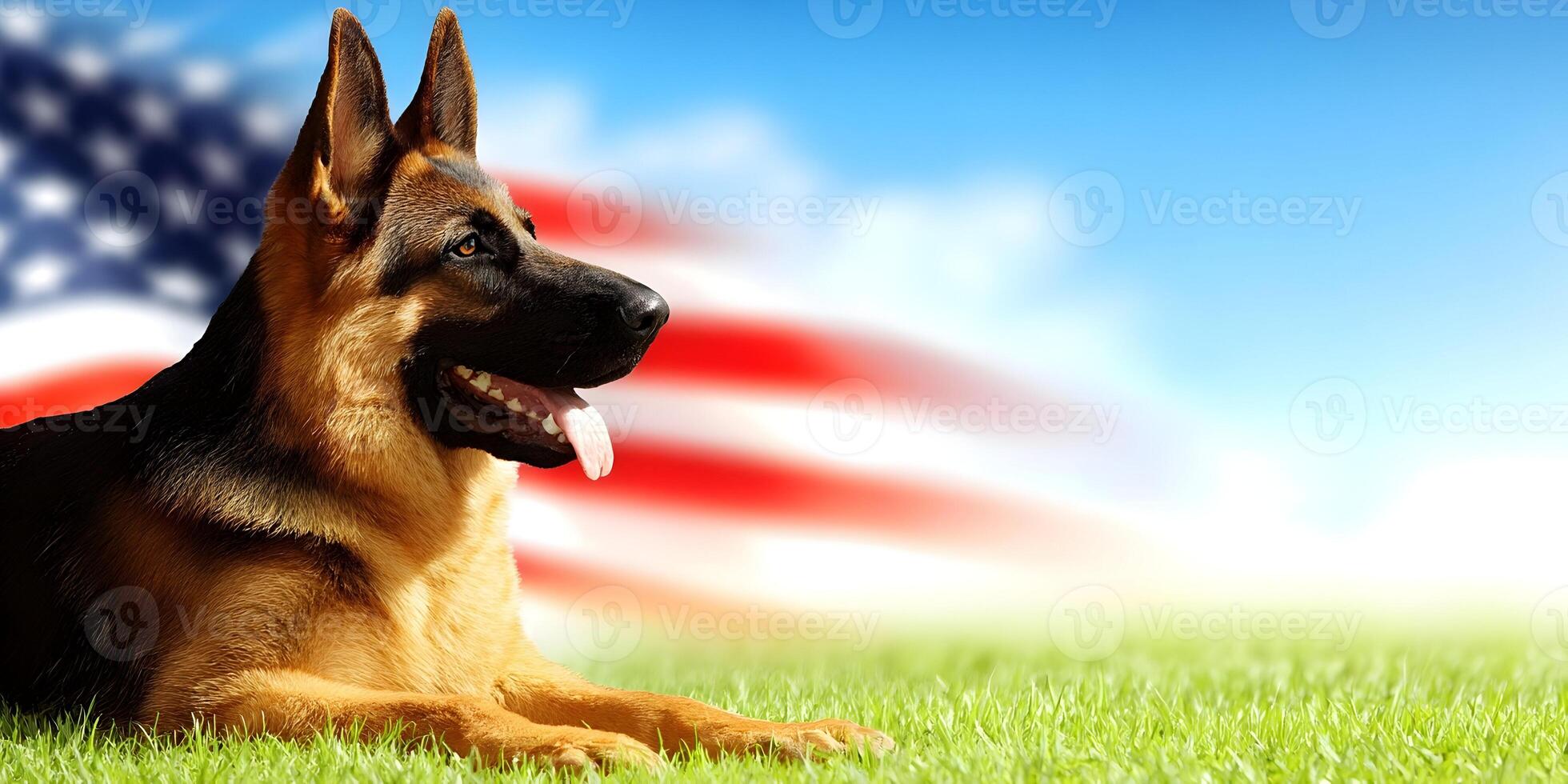 German Shepherd Dog Lying on Grass with American Flag Background photo