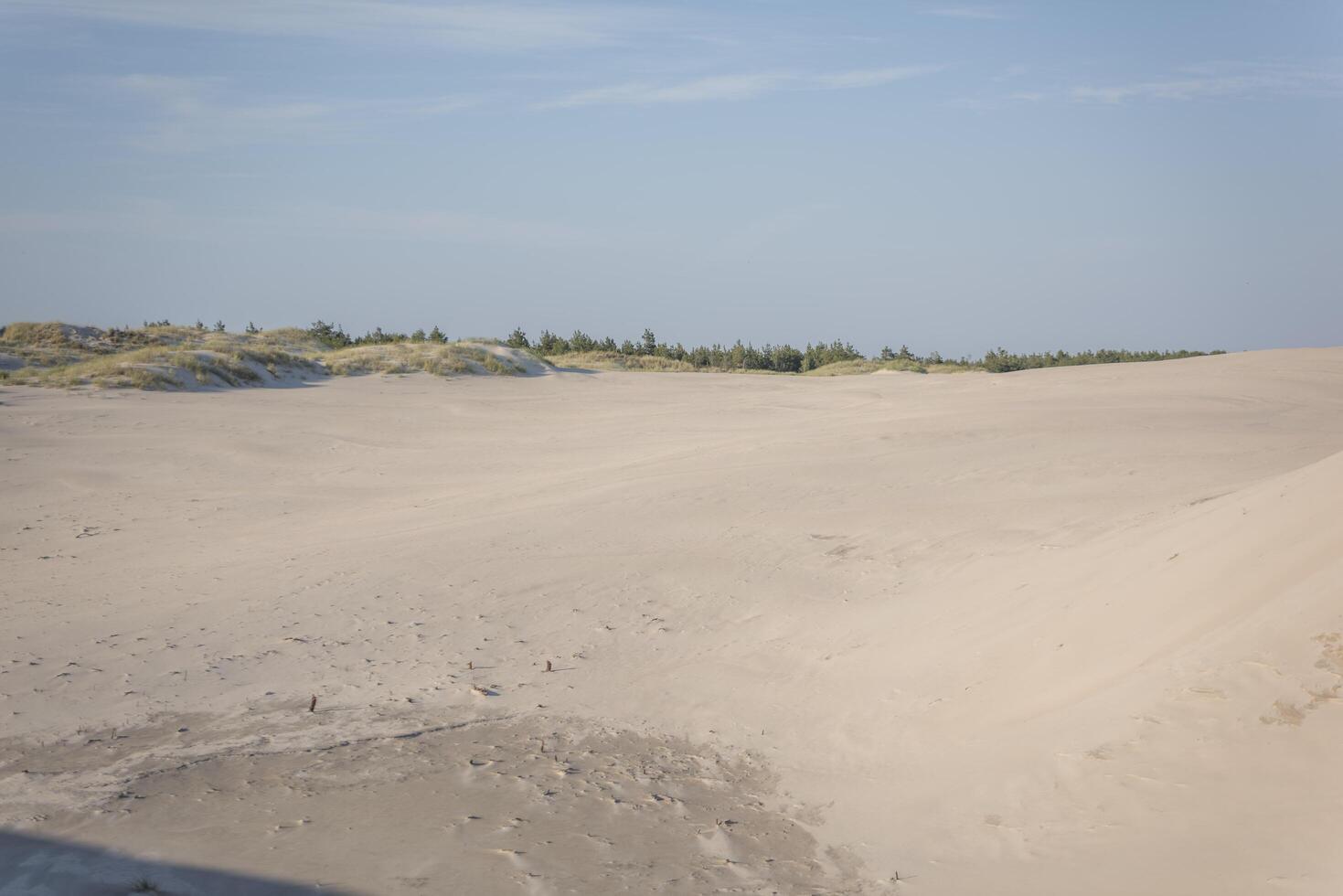A man is flying a kite on a sandy beach photo