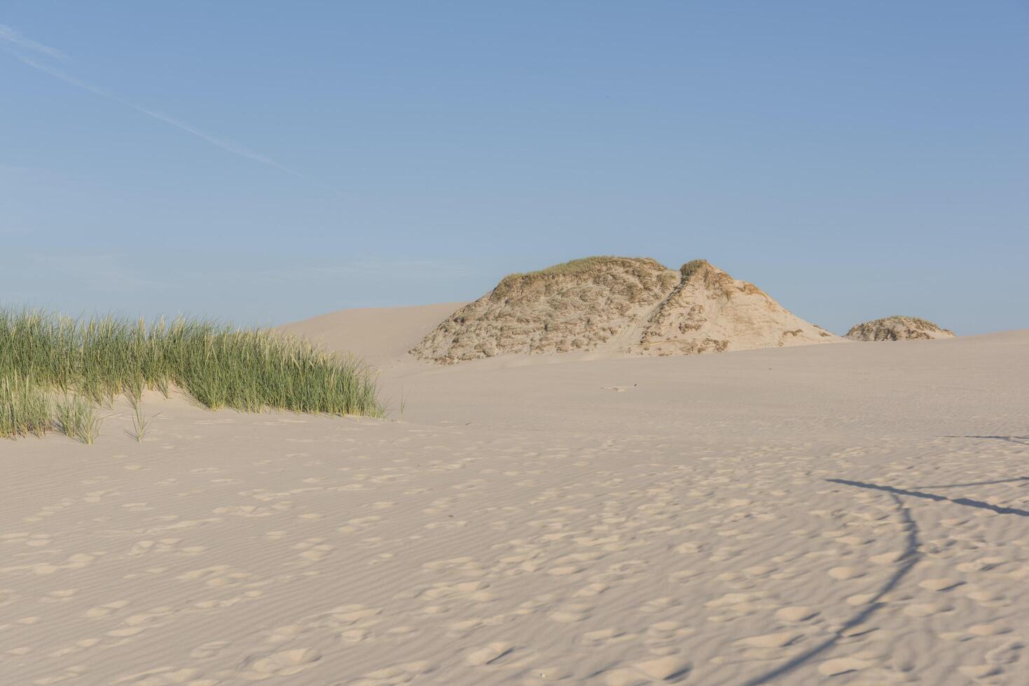 A man standing on a beach with a kite photo