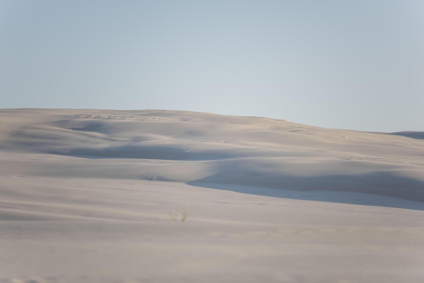 A lone person standing on a sand dune photo