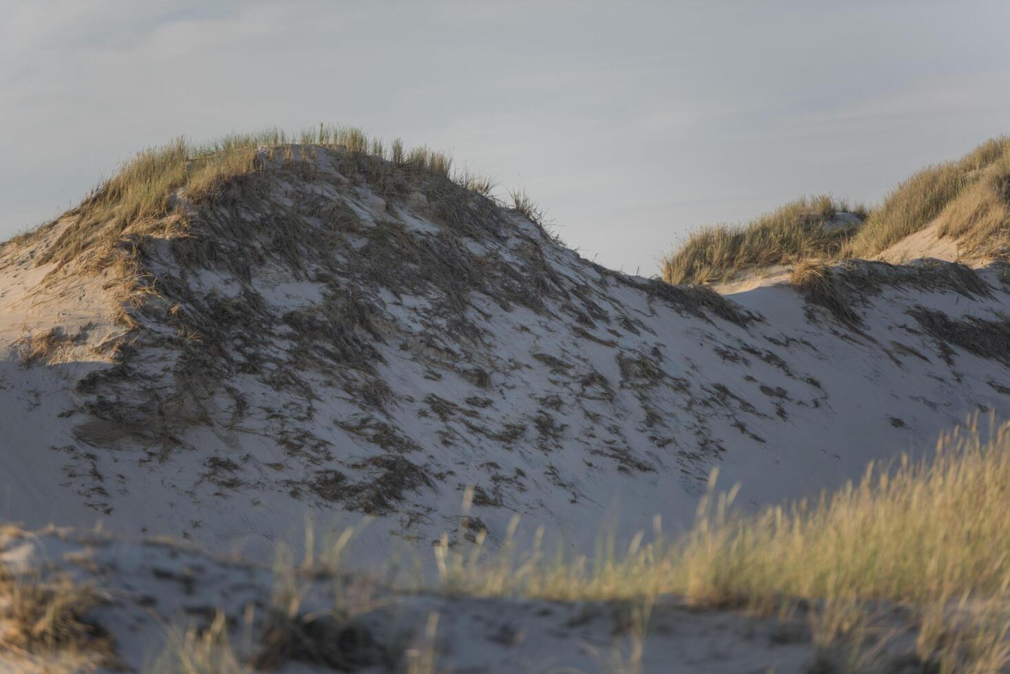 A man riding a skateboard on a sandy beach photo
