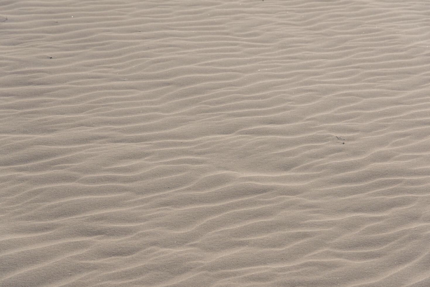 A man is flying a kite in the sand photo