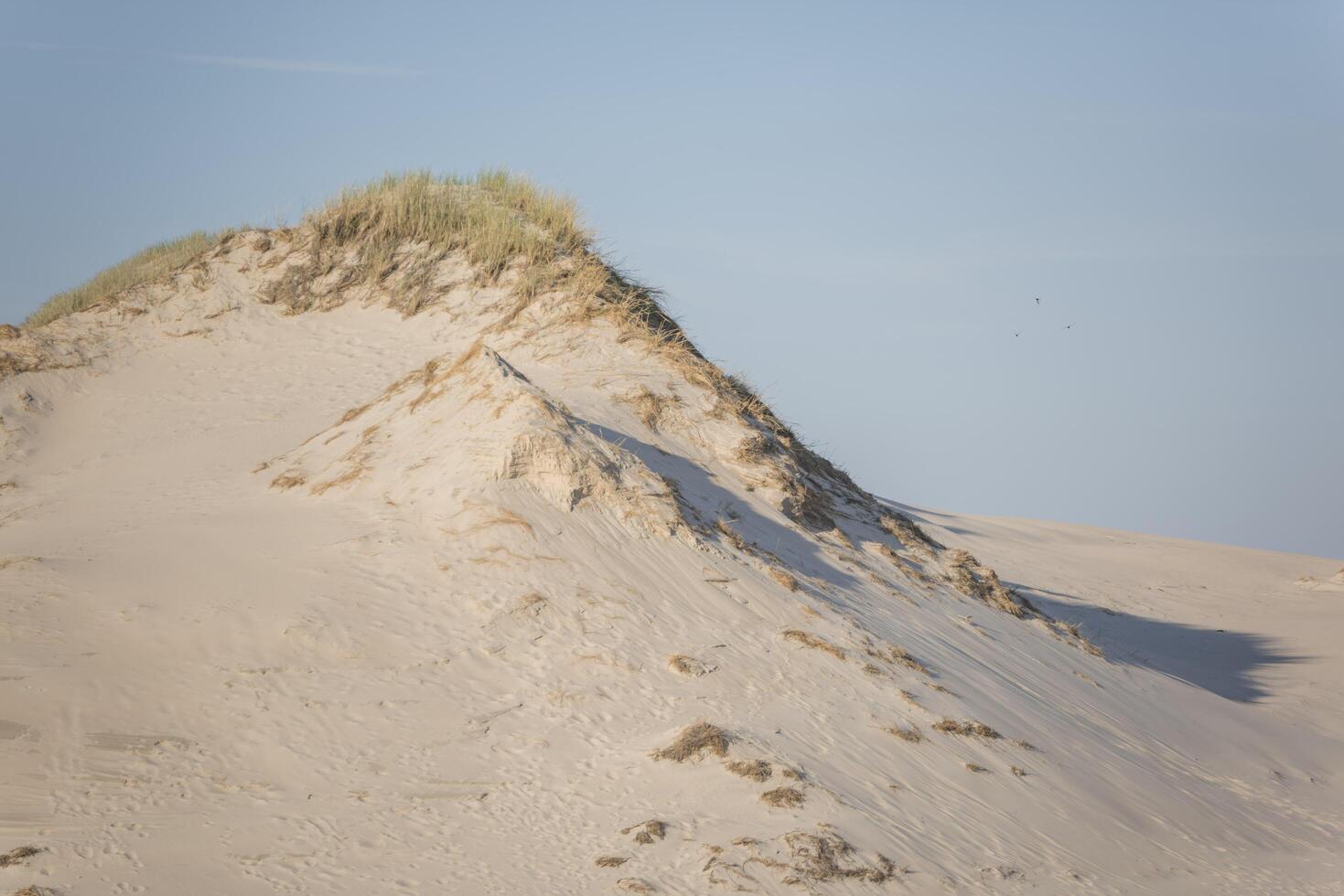 A person flying a kite on a sand dune photo