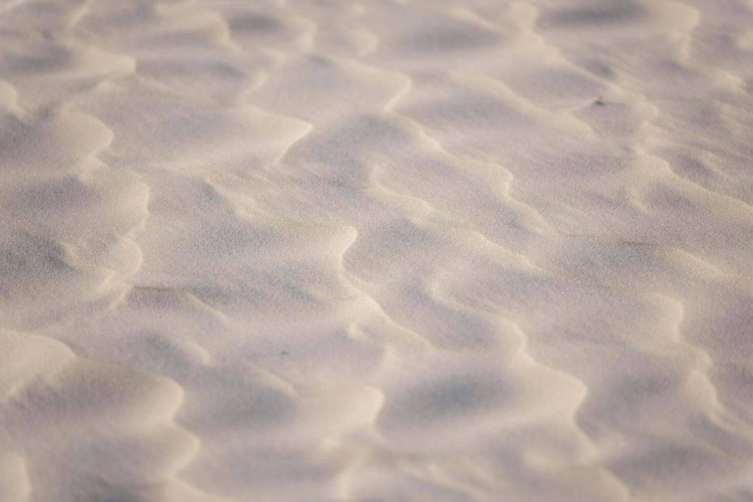 A close up of a sand dune photo