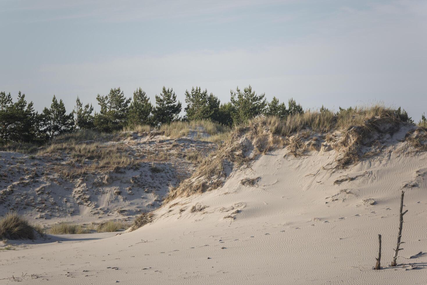A person standing on a beach with a kite photo