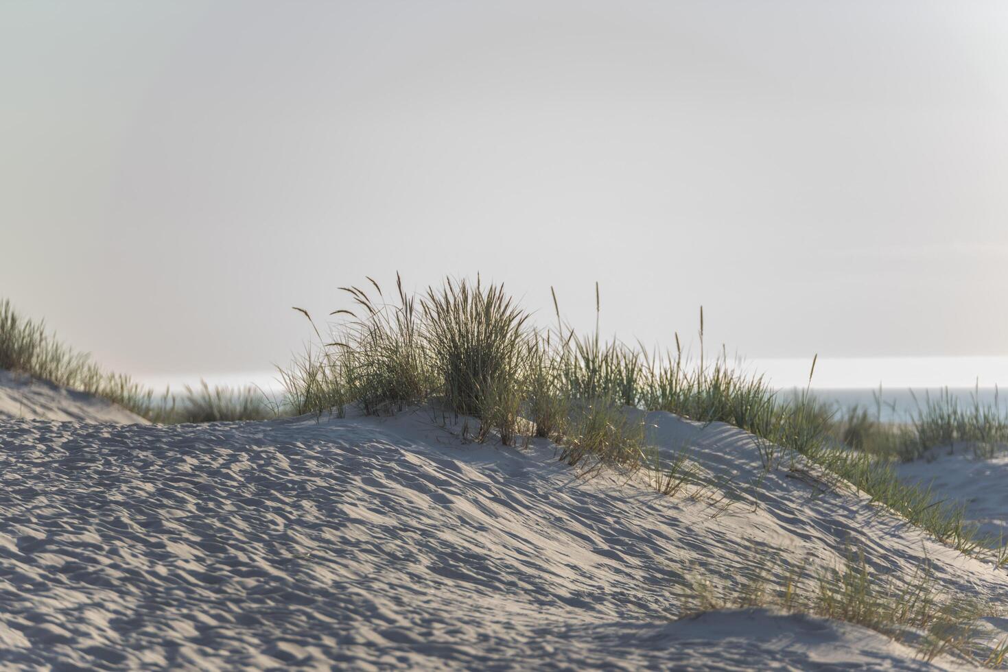 A person on a beach with a surfboard photo