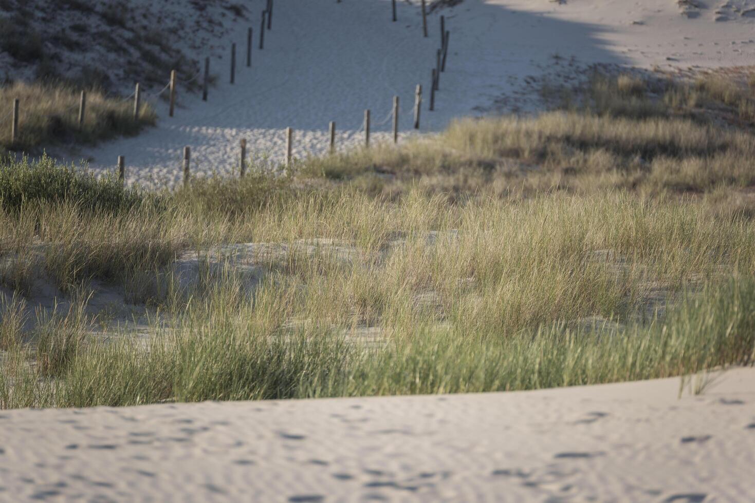 A path that leads to a beach photo