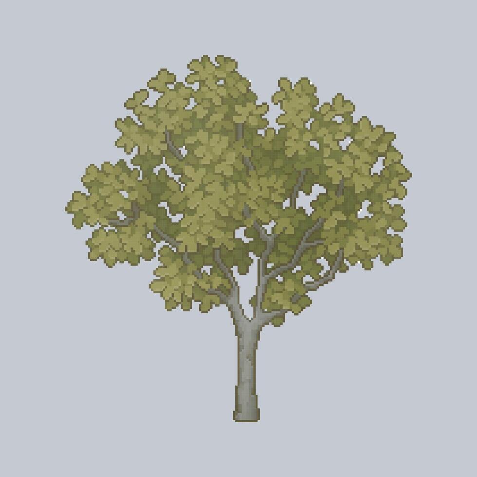 lush tree in pixel art style vector