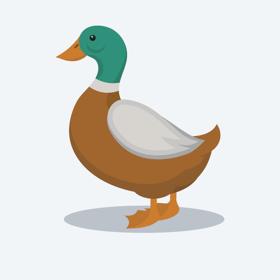 beauty duck in isolated background vector