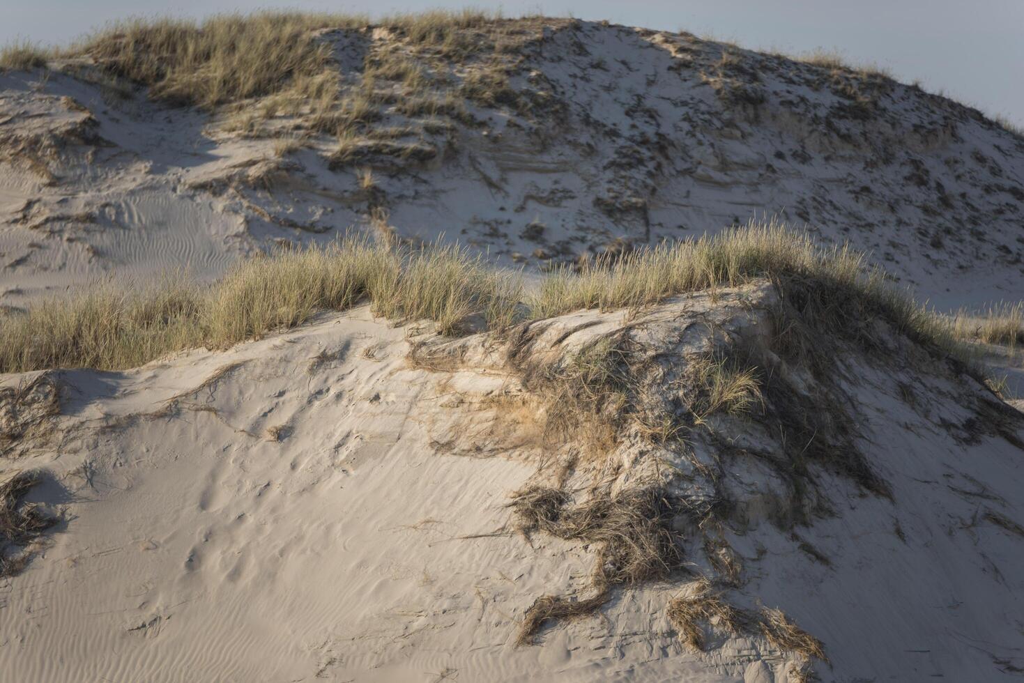 A person standing on top of a sand dune photo