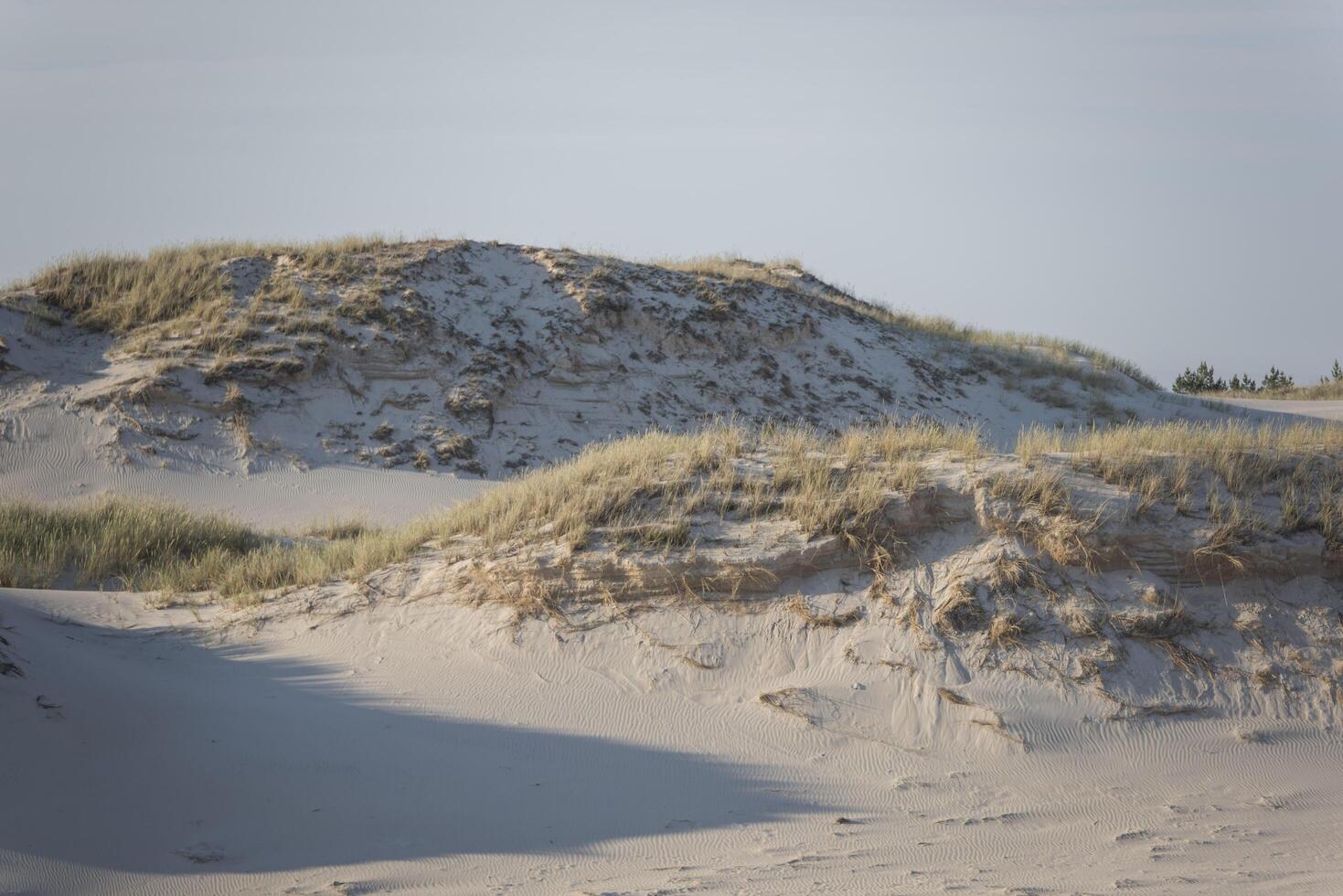 A man standing on a sand dune with a surfboard photo