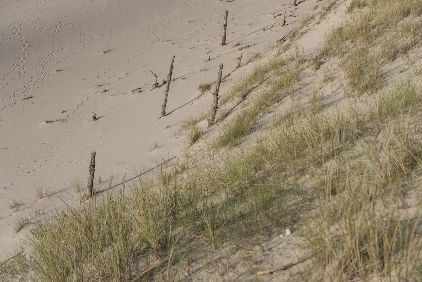 A man is flying a kite on a beach photo