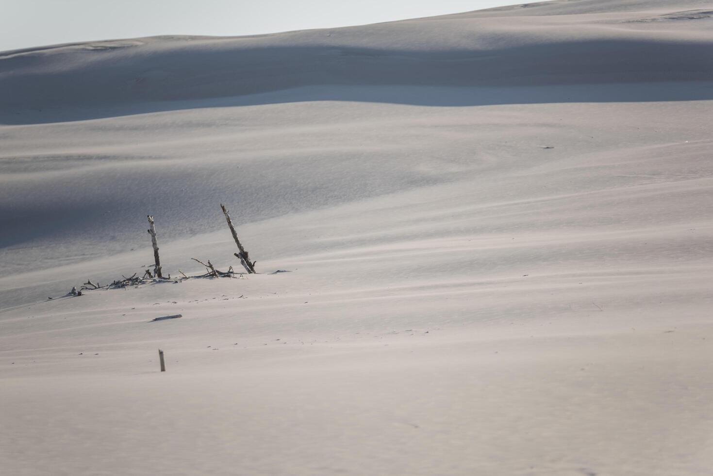A person riding a snowboard down a snowy slope photo