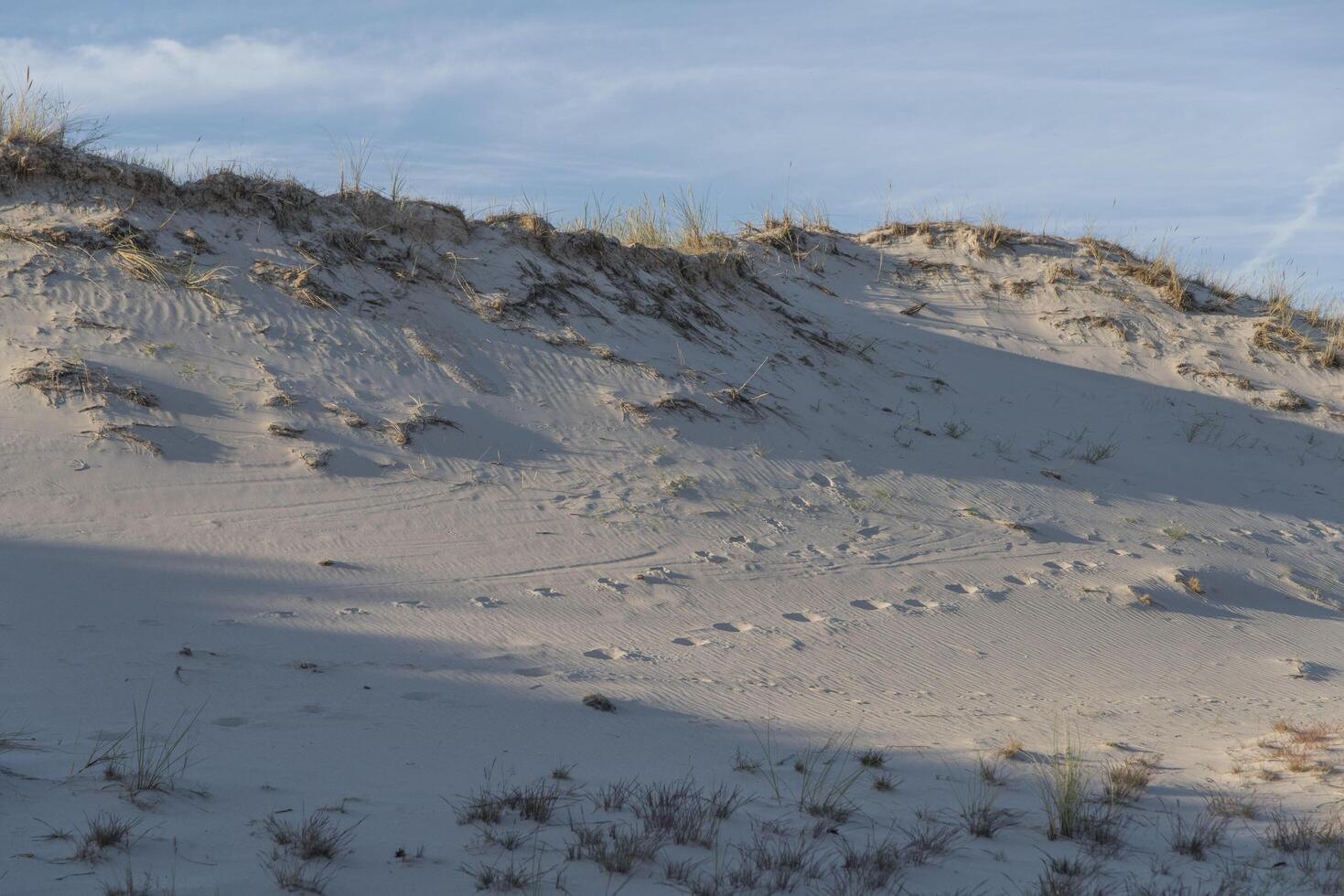 A person walking on the sand dunes photo