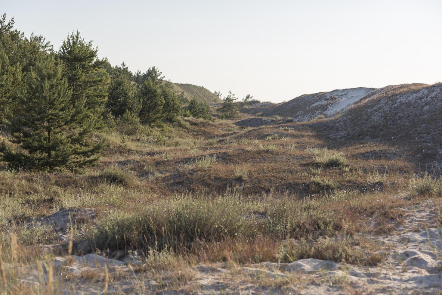 A dirt road with a dirt path on the side photo