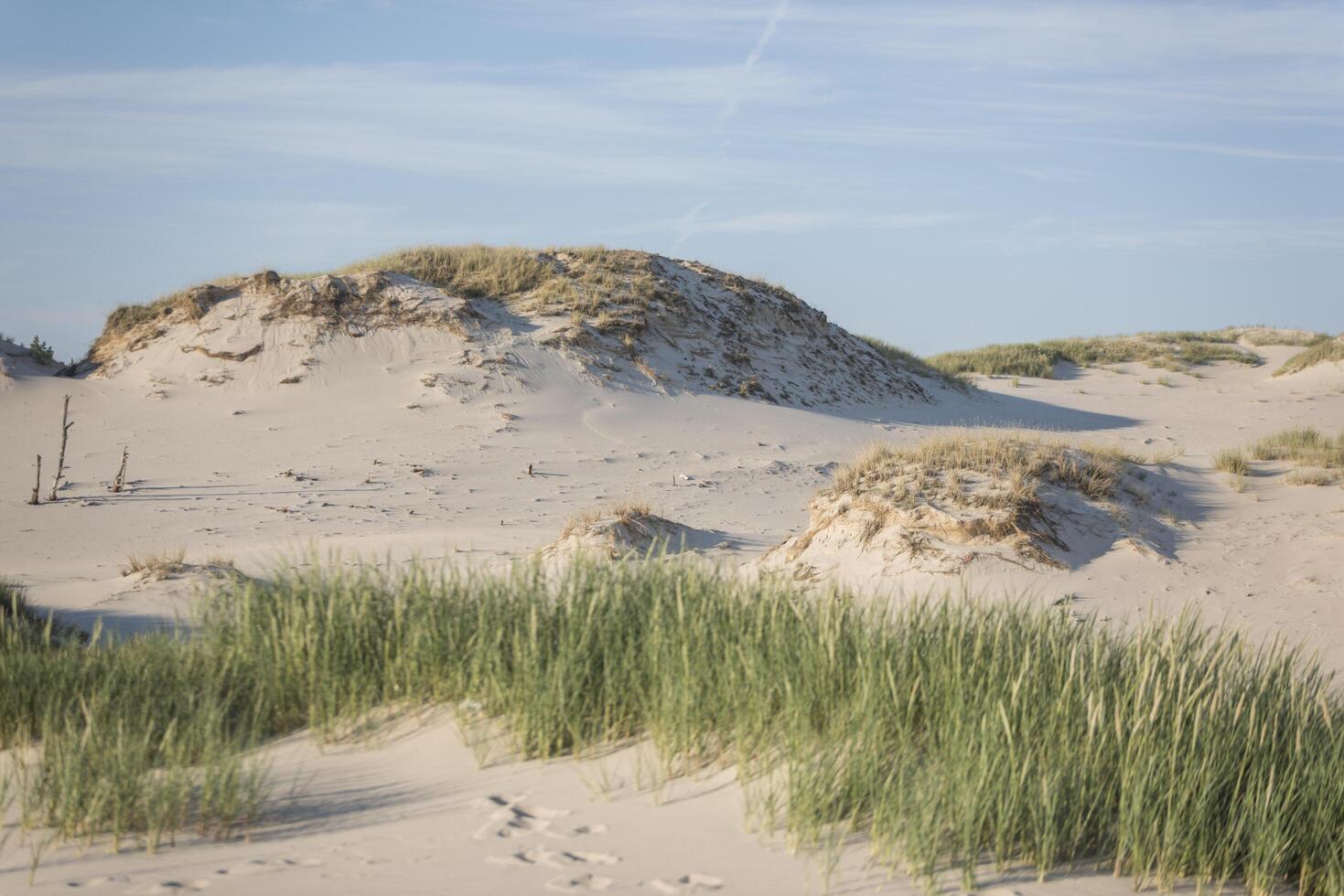 A grassy area with a sand dune in the foreground photo