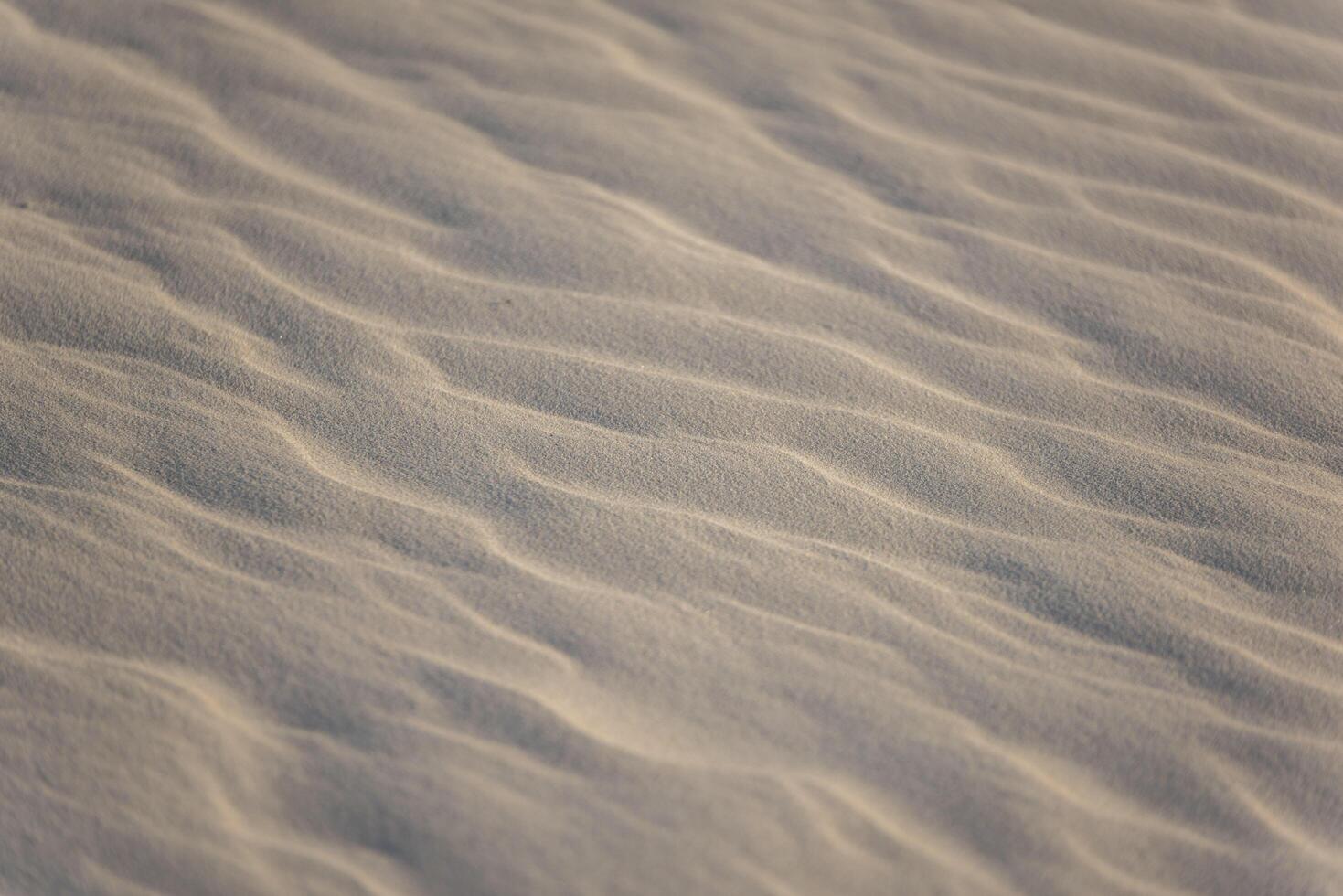 A close up of sand dunes in the desert photo