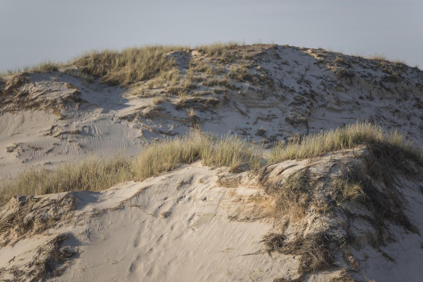 A lone person standing on top of a sand dune photo