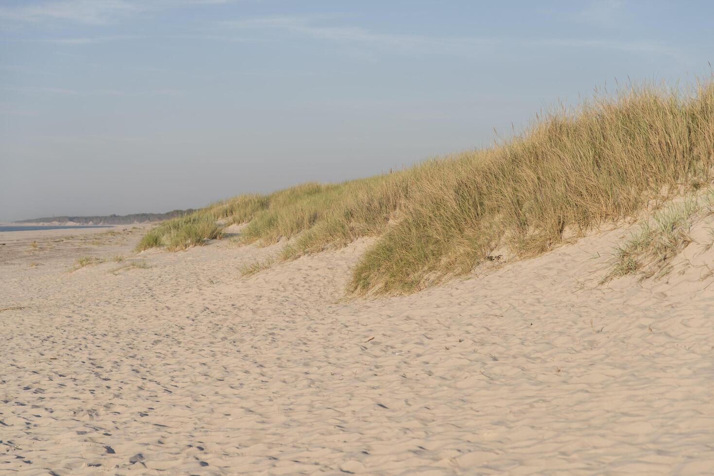 A sandy beach photo