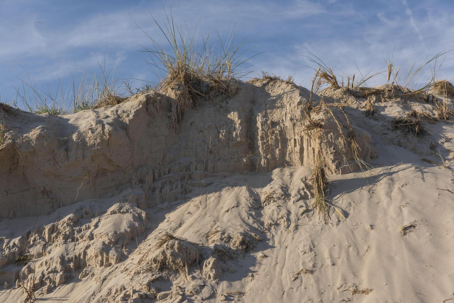A sand dune with grass growing on top photo