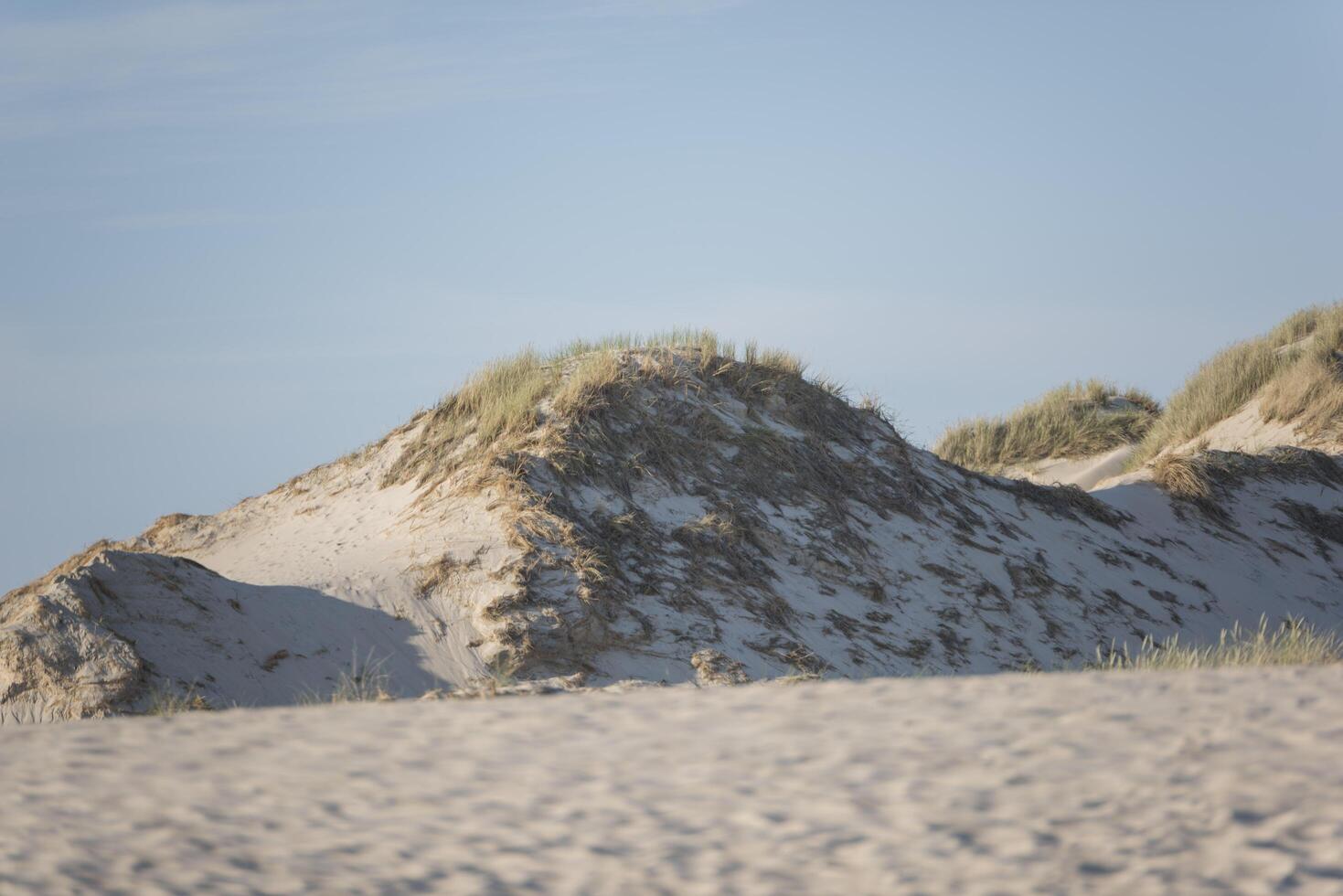 A person flying a kite on a beach photo